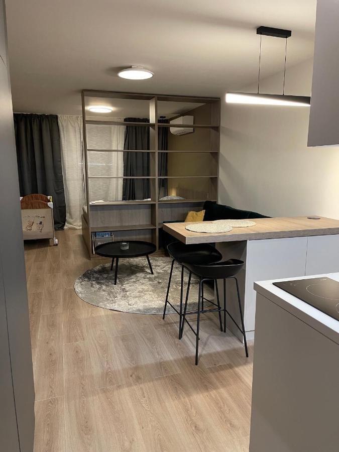 Luxor Zemplinska Sirava Apartment